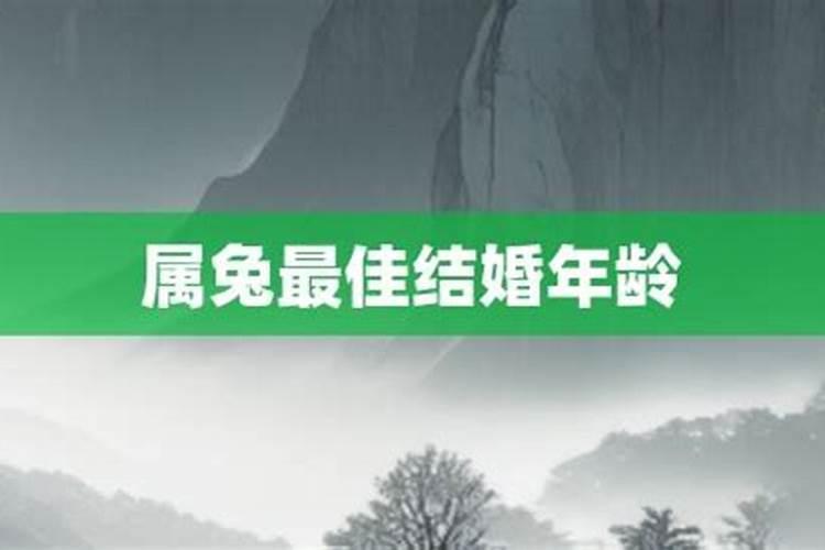 19999属兔最佳结婚年龄