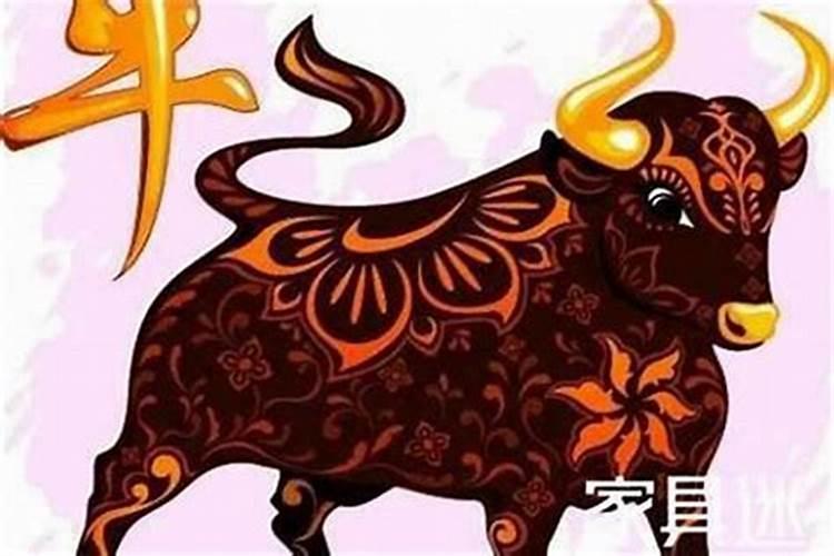 属牛今年怎么这么倒霉呀