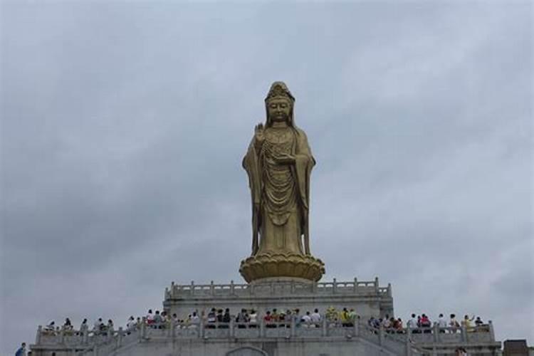 属鸡女和牛属相合不合