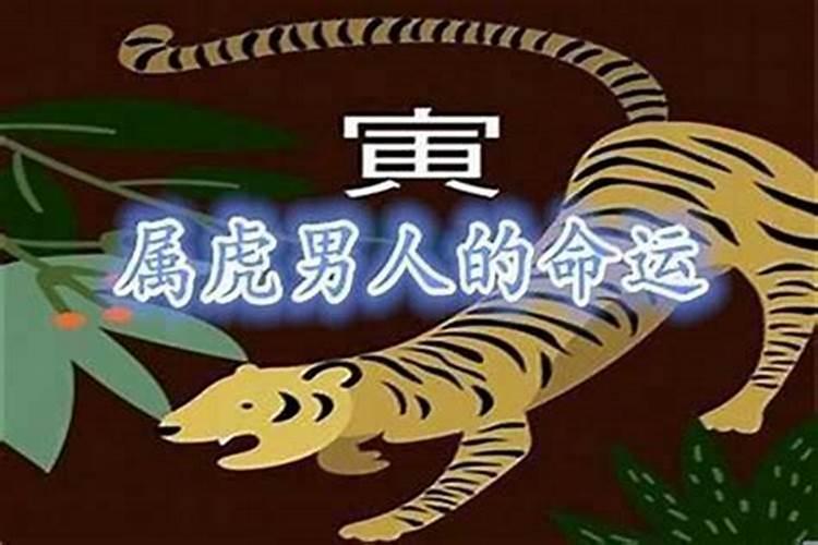 1998年属虎今年运势和财运怎样