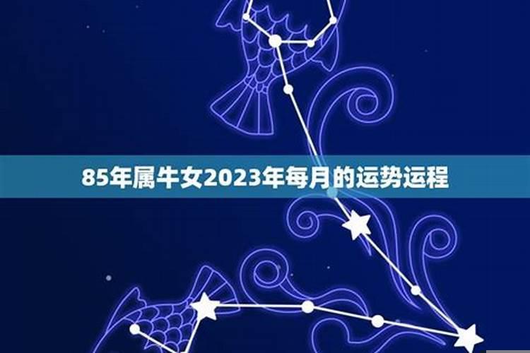 属牛女在2022年每月运势如何样