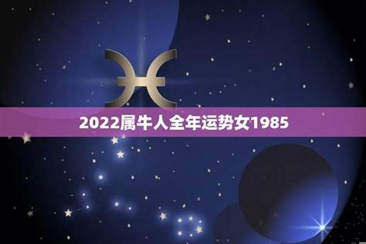 2021属牛人全年运势1985女