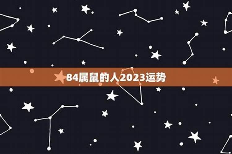 84年的鼠在2021年运势