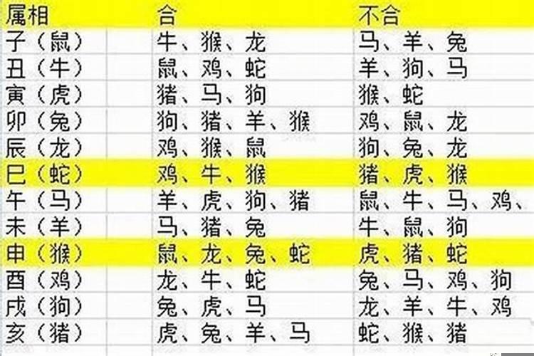 2023年生的宝宝属什么生肖