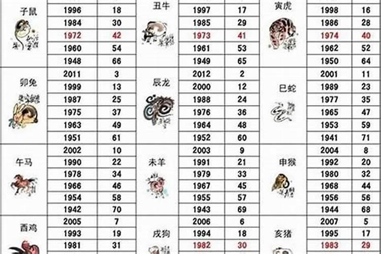 1994年1月30日出生属什么