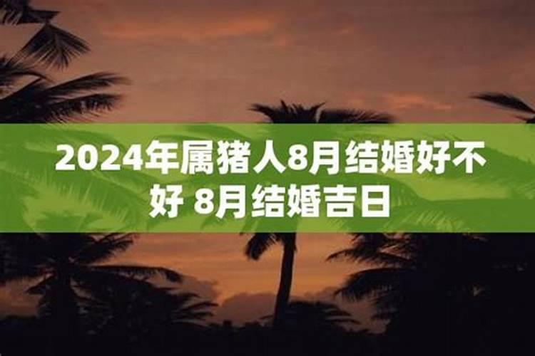 属猪人2021结婚好不好