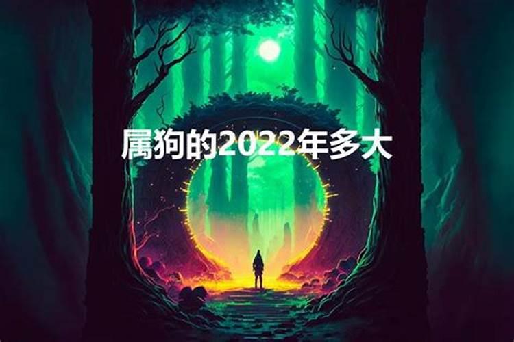 属狗的今年多大2023年运势