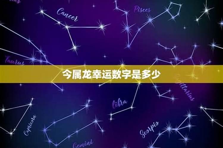 生肖龙今天的幸运数字