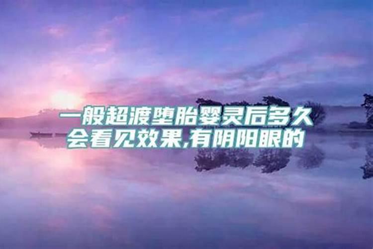 属羊的哪一年运势好点