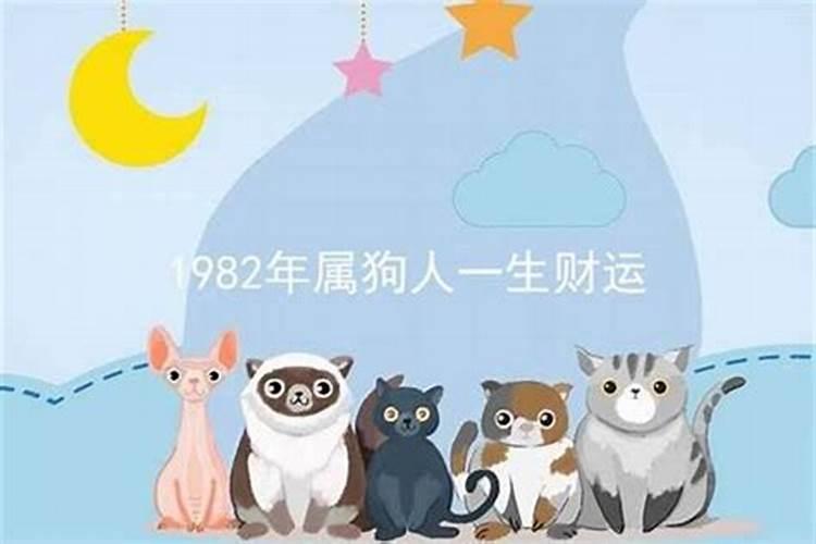 1982年属狗人一生命运好不好