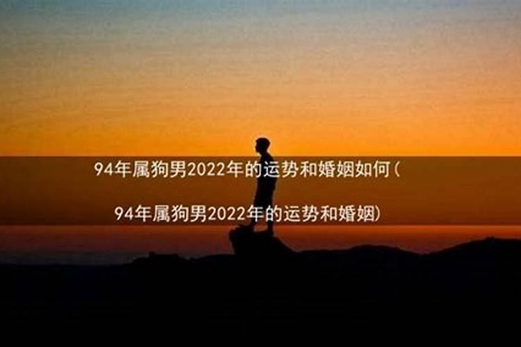 94年属狗男2022年全年运势