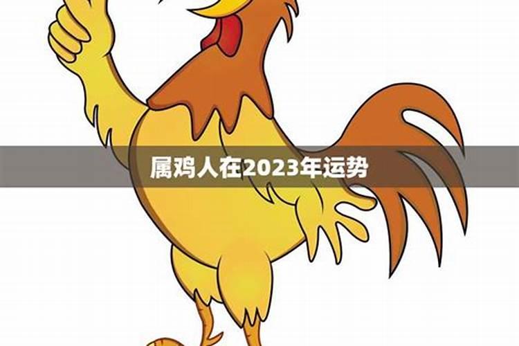 1969年属鸡在2023年的运势