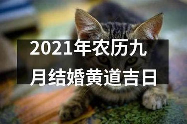 2021年结婚9月黄道吉日有哪几天呢