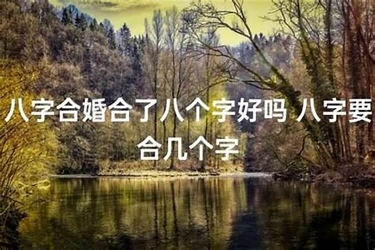 合八字中等婚姻是什么意思