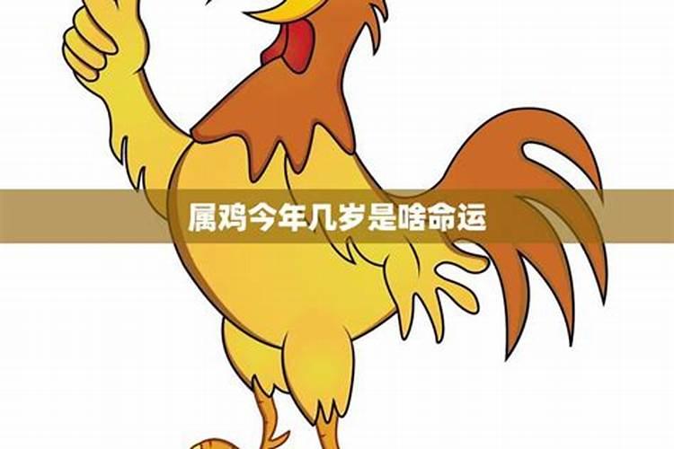 2023年属鸡的人的全年运势如何看好坏