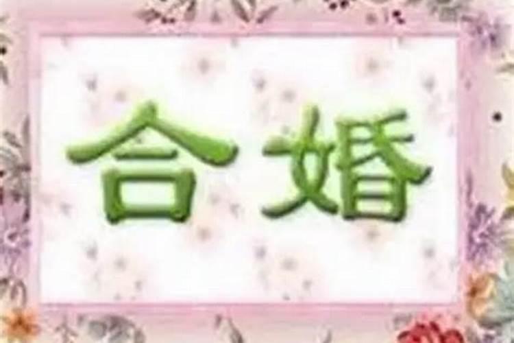 八字合婚和六爻哪个准