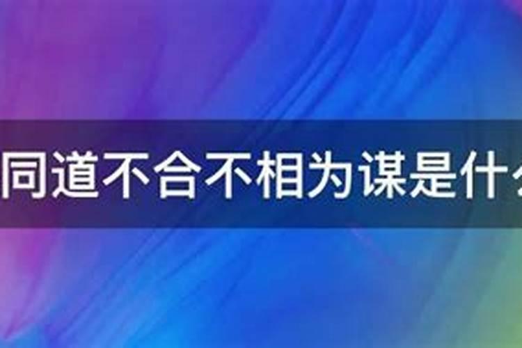 判定童子命是看地支吗