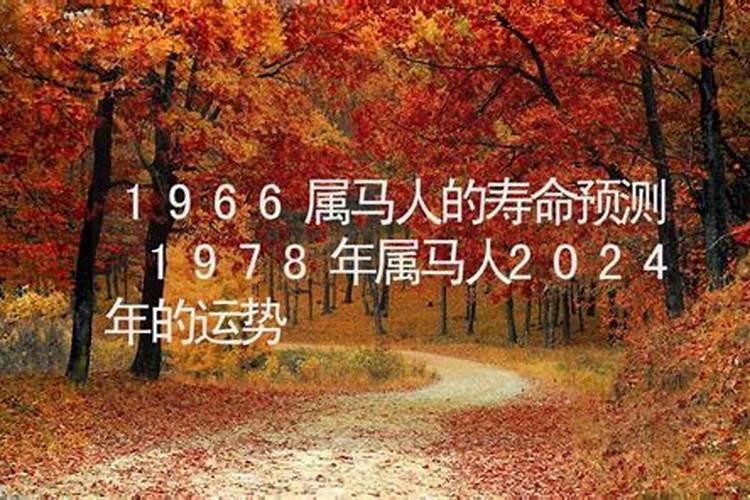 属马66年2022年运势怎么样