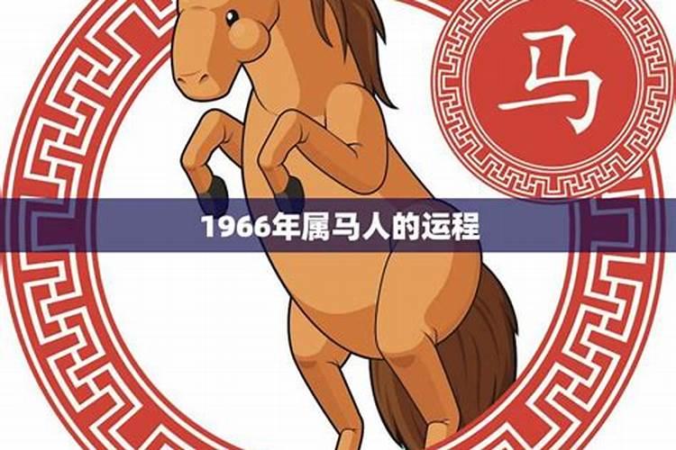 1966年属马的今年运气怎么样