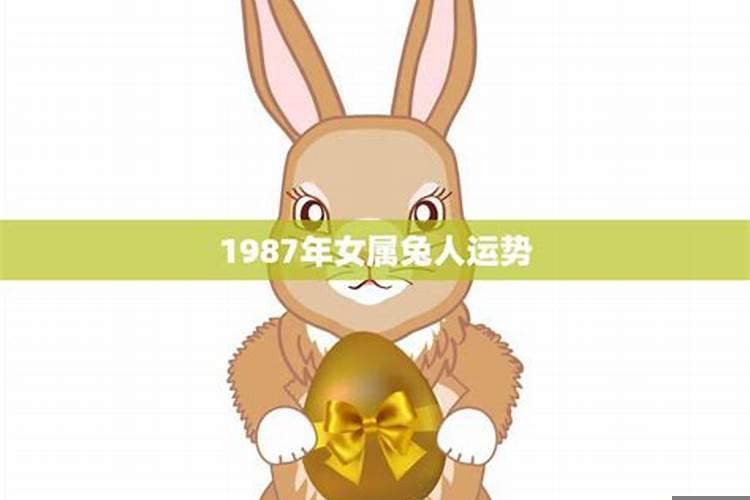 2022年属兔人的全年运势1987出生