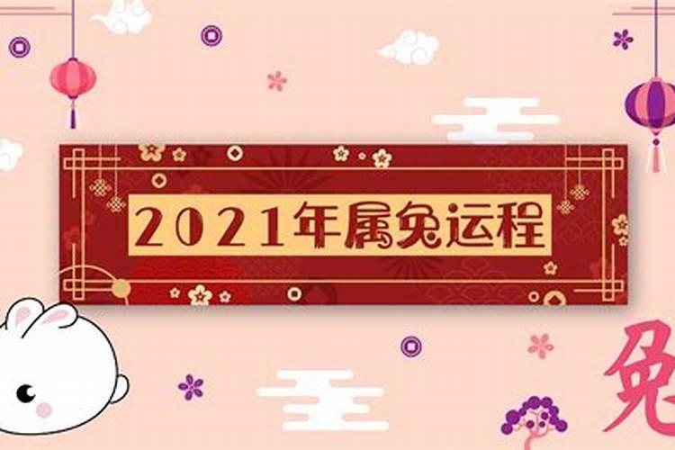 2021年属兔运势大全