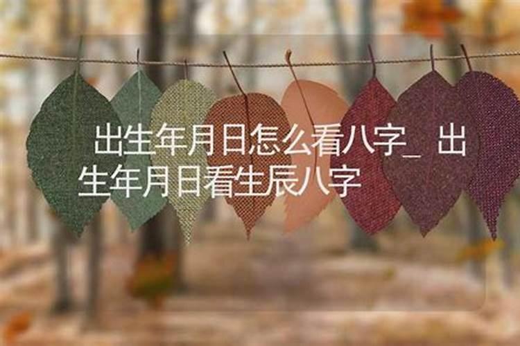 八字出生年月合代表什么