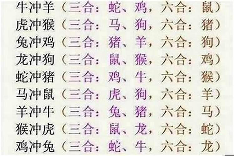 属马与属羊八字合吗