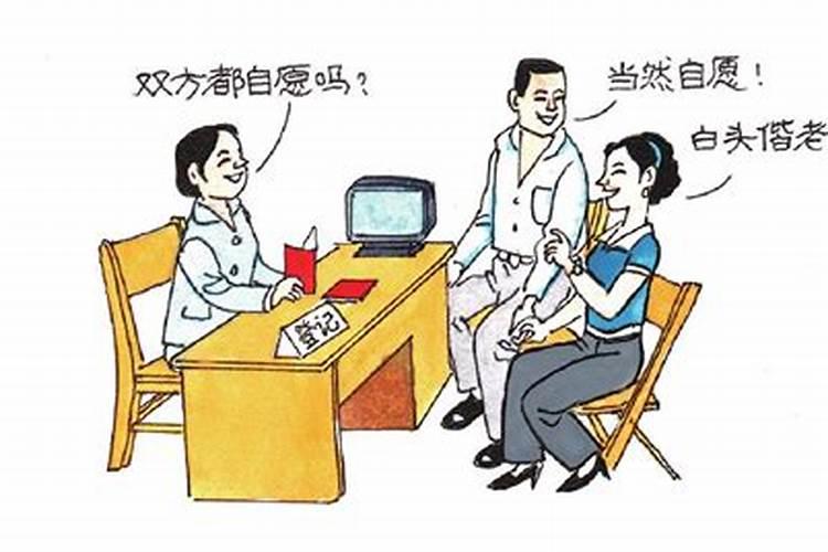 婚姻法第五条内容