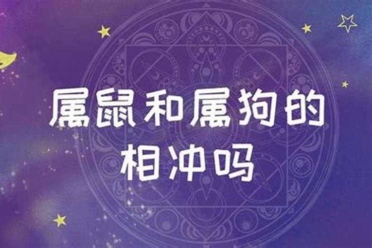 本命年初几拜太岁最好