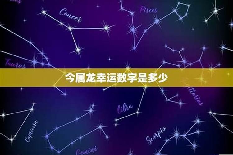 今日属龙的幸运数字