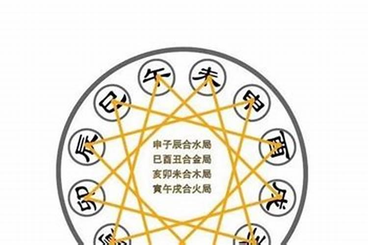 怎么理解八字天干地支相合呢