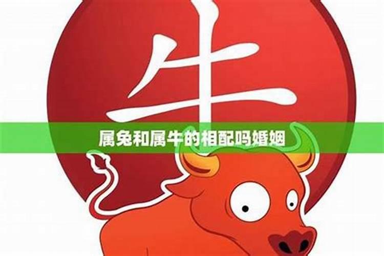 三合风水定局立向第五讲