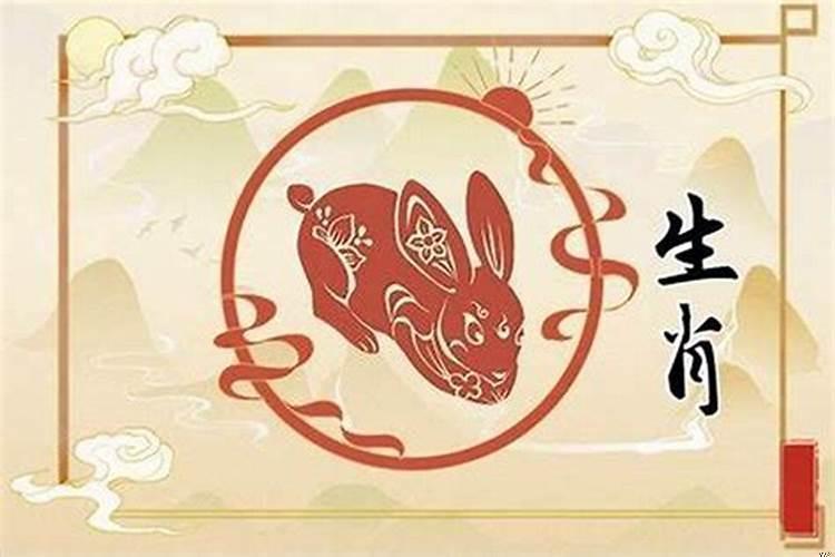 属兔在哪一年结婚好呢