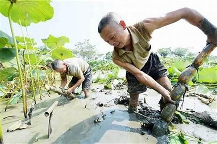 挖地碰着太岁了怎么破