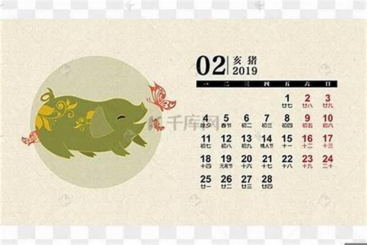 属猪哪一年运气最好