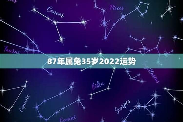 属兔的运势怎么样2022