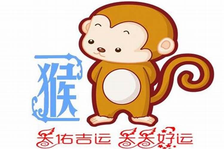 属猴人今年适合投资吗2022