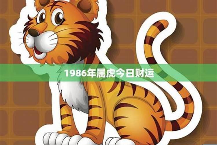 1986年属虎的人今年运势