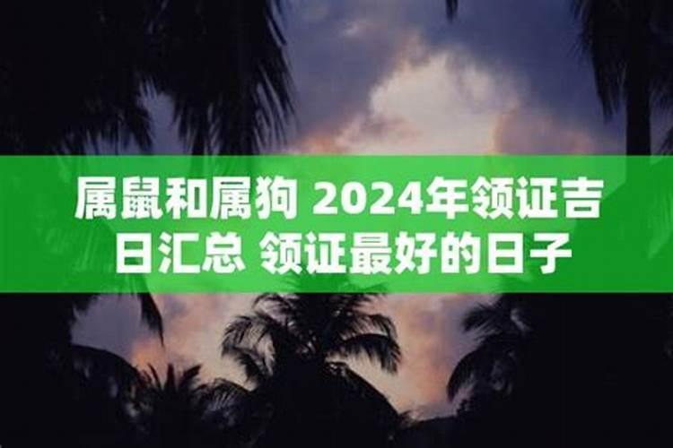 2020年属鼠适合领证的日子