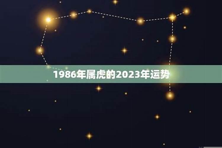 1986年属虎运势2020