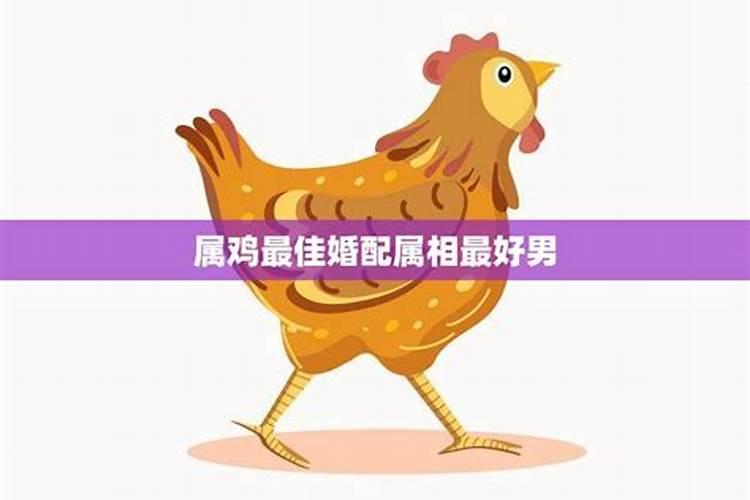 属鸡婚配什么属相最合适