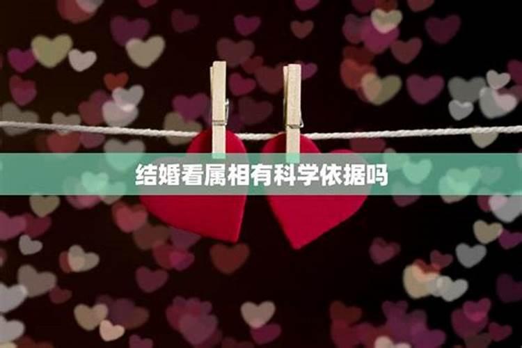 婚姻中六冲是什么意思啊