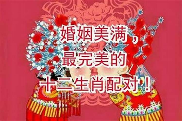 属鼠的女人本命年可以结婚吗