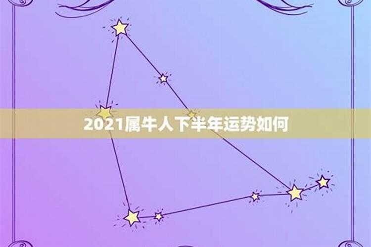 2021属牛人全年运势如何