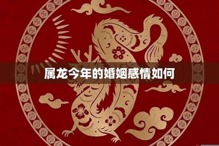 生肖龙今年婚姻不顺