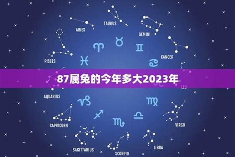 属兔今年多大年纪2022