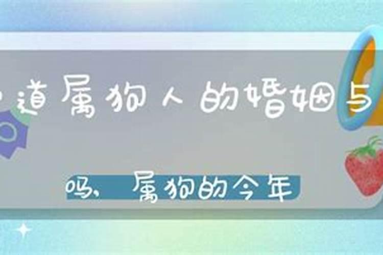 属狗的人今年婚姻是否破裂