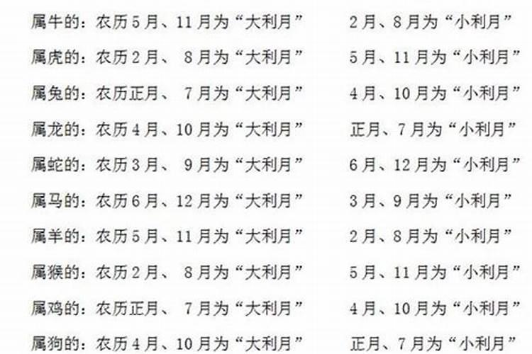 76年属龙2021年下半年运势及运程每月运程