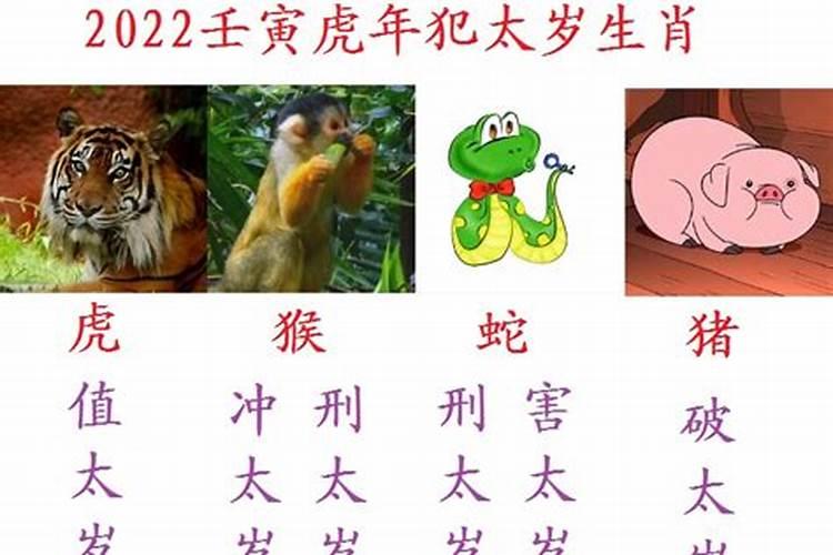 2022虎年犯太岁的属相怎样化解