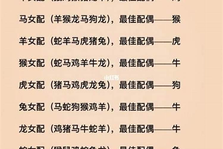 生肖与婚姻组合大全